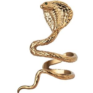 NEW Taylor Swift Reputation Album Snake Ear Cuff